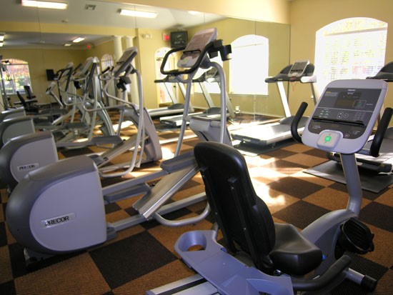 Champion Lake Large Fitness Room With Multiple Equipment